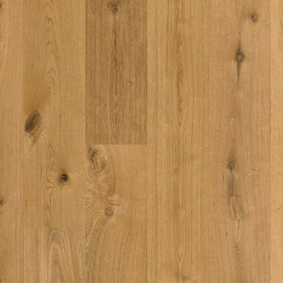 Unveiling the Truth: Is Oak Flooring Expensive in Australia?